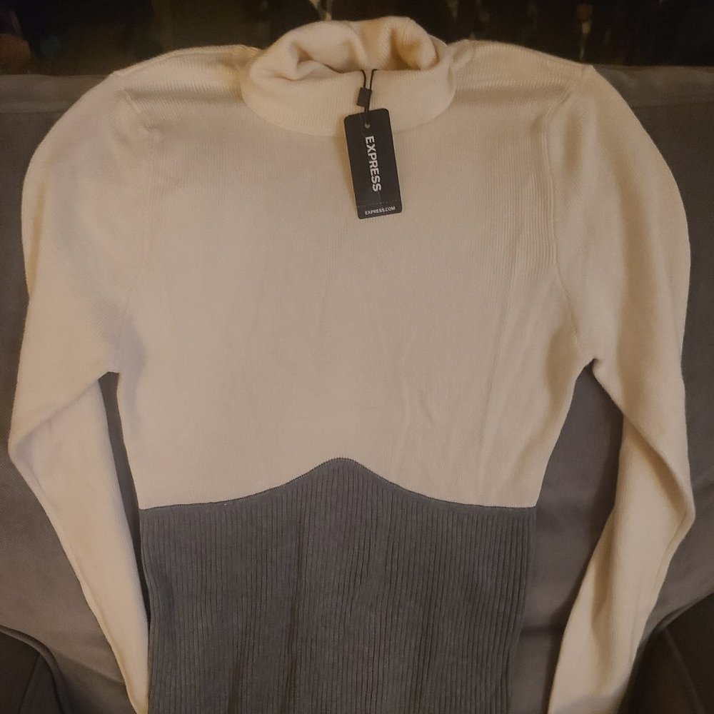 Express Color Block Turtleneck Sweater Size L
